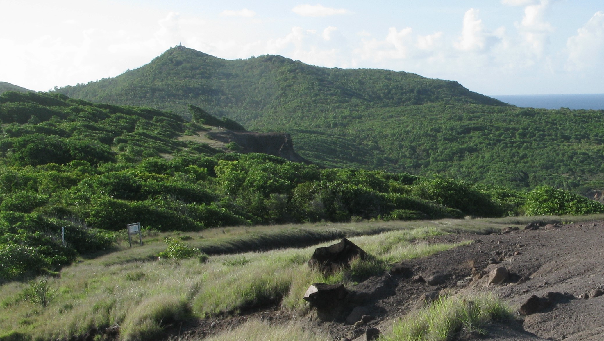 Annexe arbres bord de mer.jpg