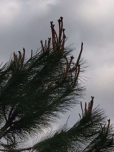 Annexe droit chemin.jpg