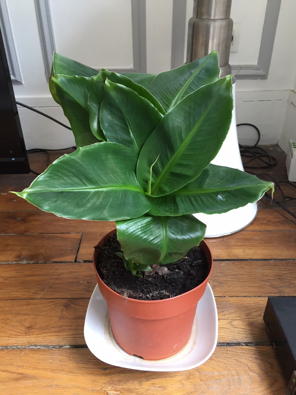 Annexe thumbnail_IMG_6013.jpg