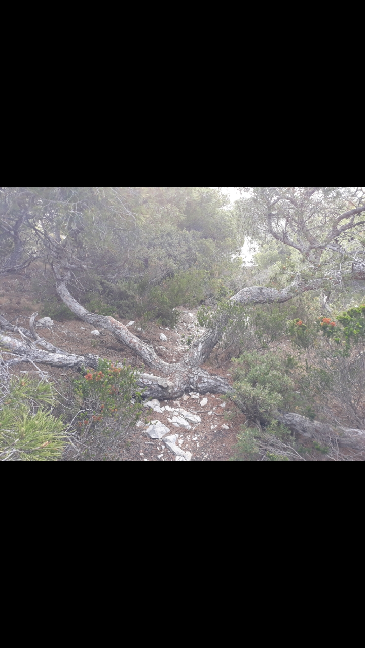 Annexe Screenshot_20200418-165330_Gallery.jpg