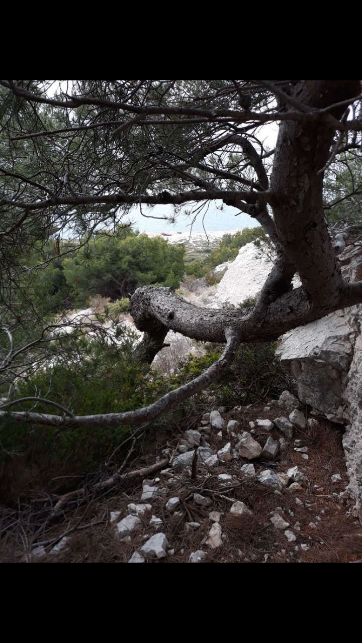 Annexe Screenshot_20200418-165336_Gallery.jpg