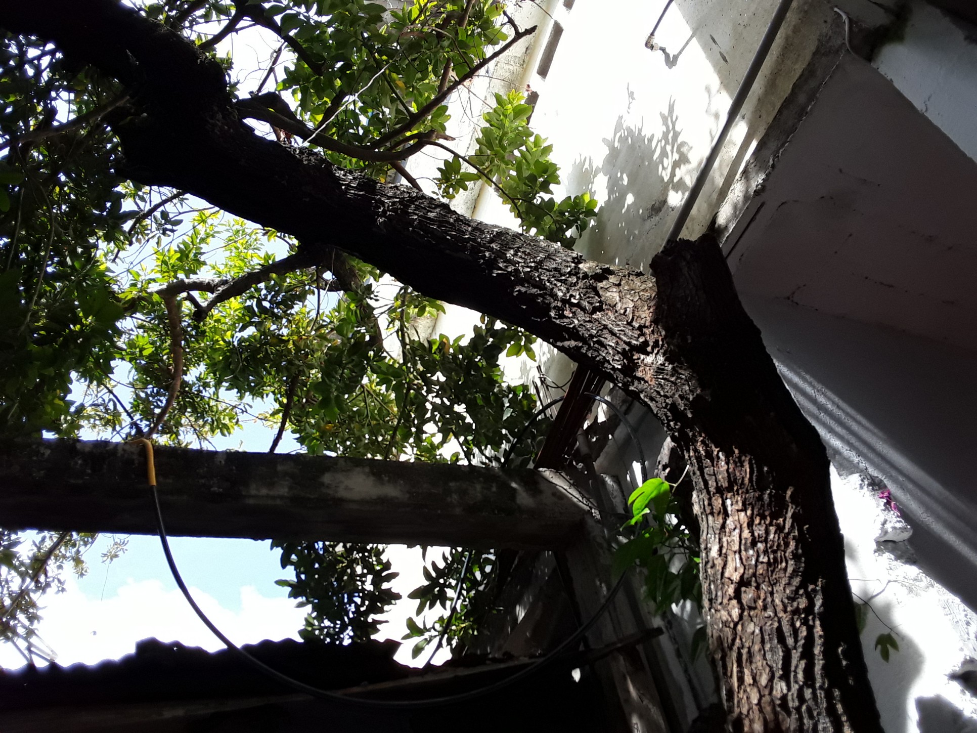 Annexe 20200419_141013-1932x1449.jpg