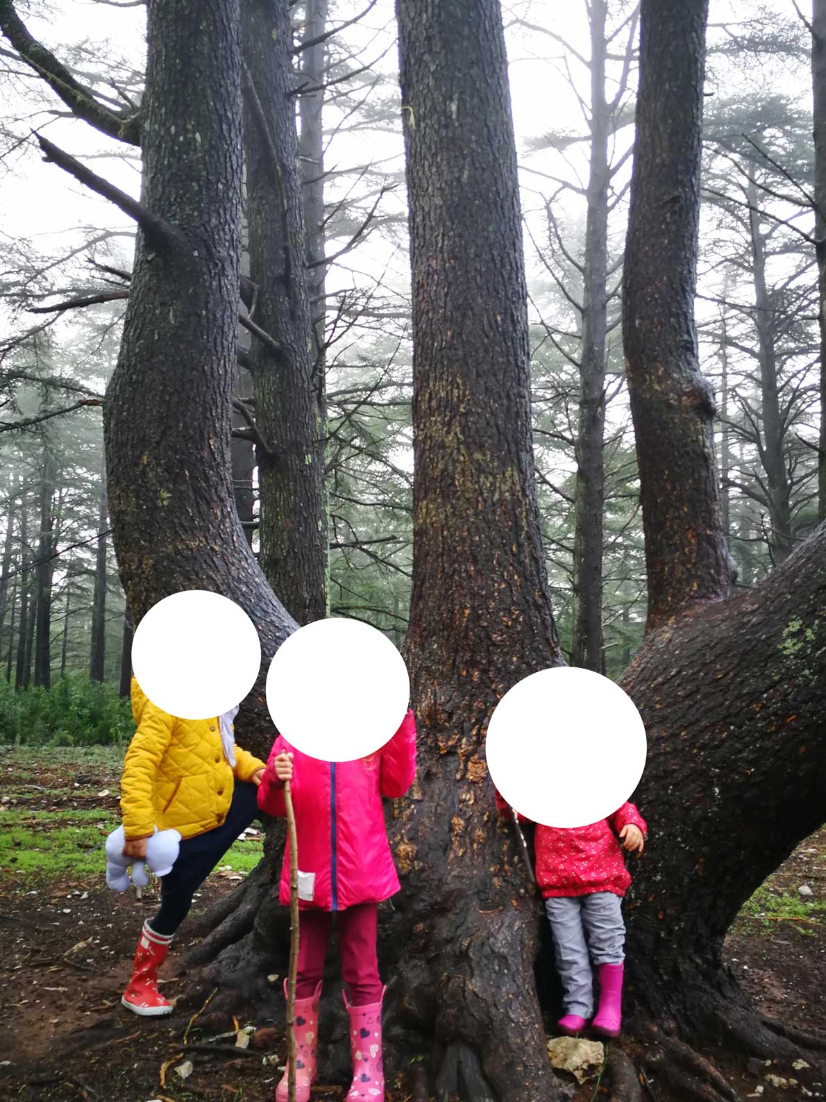 Annexe IMG_20191024_103705.jpg