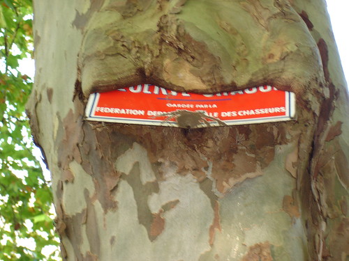 Annexe activité-croissance-bizarre_4428421925_f435d02df0.jpg