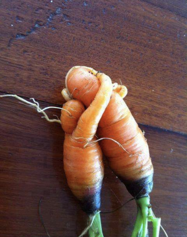 Annexe A51F0F63-B31C-4C07-AF46-1F907DE07611.jpeg