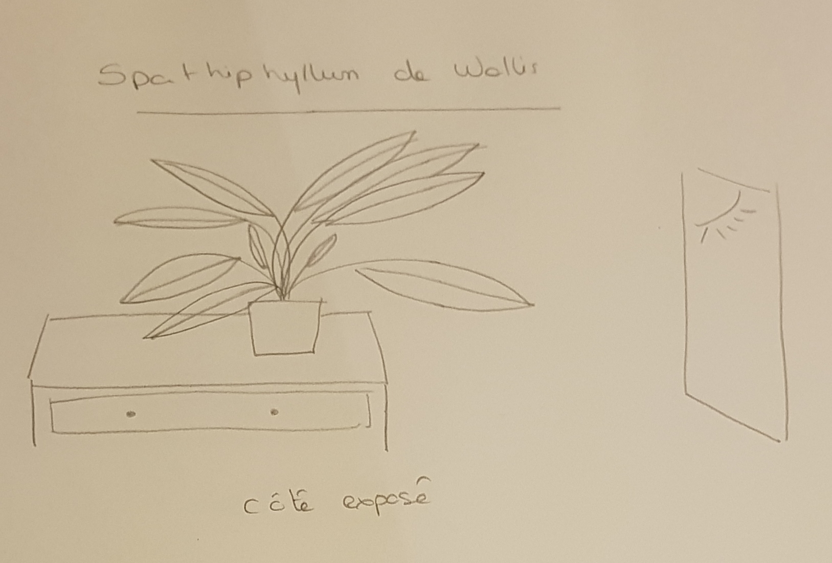 Annexe 20200419_210344.jpg