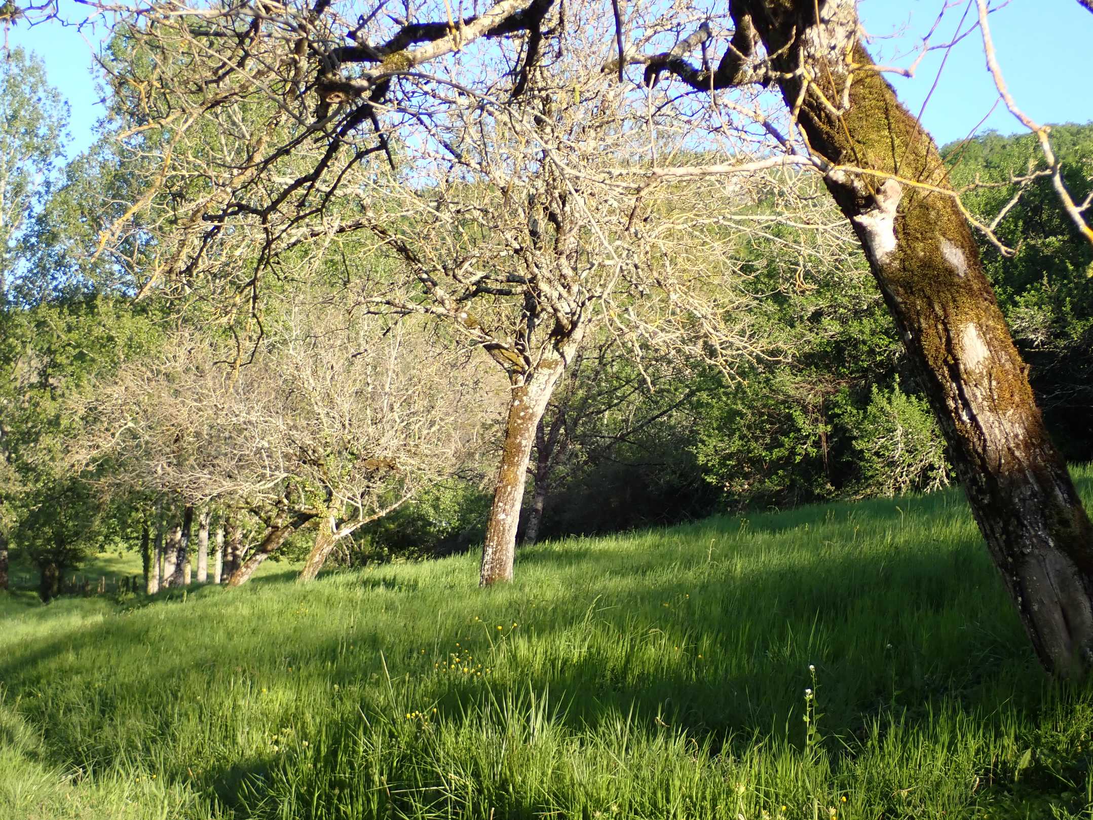 Annexe Seul à gauche.JPG