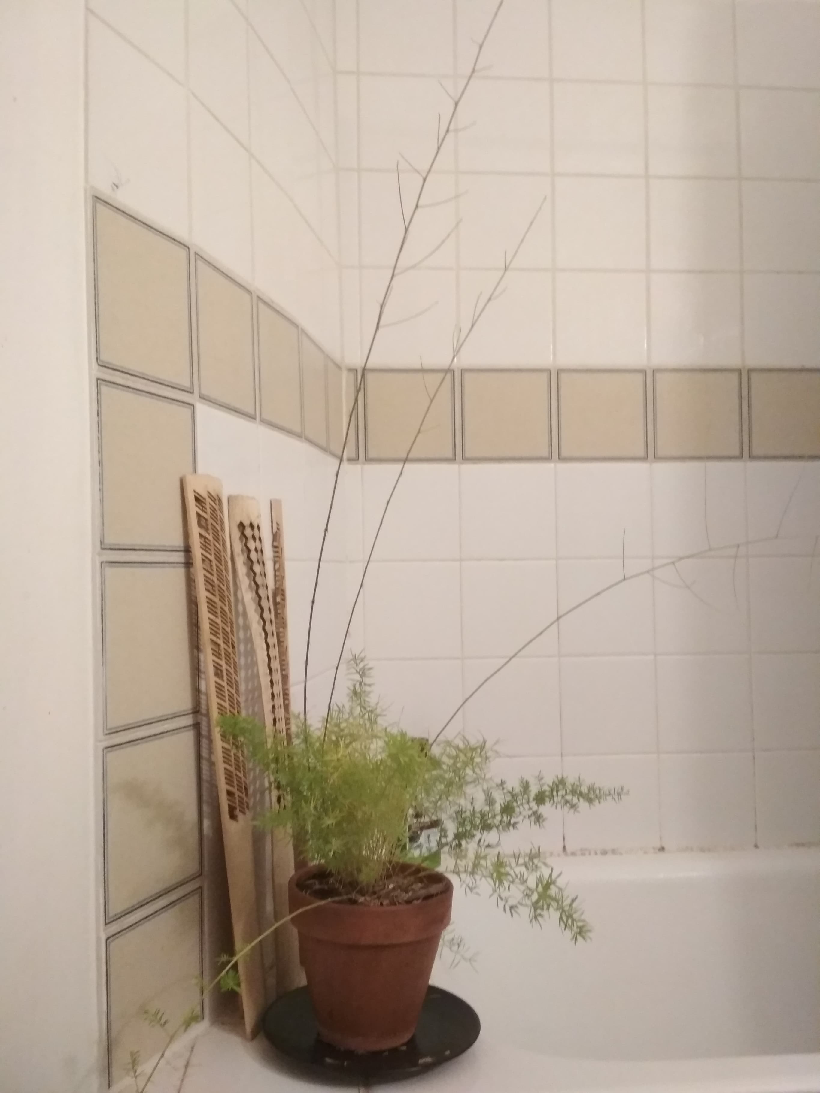 Annexe 82227522_784280515374414_811051346319900672_n.jpg