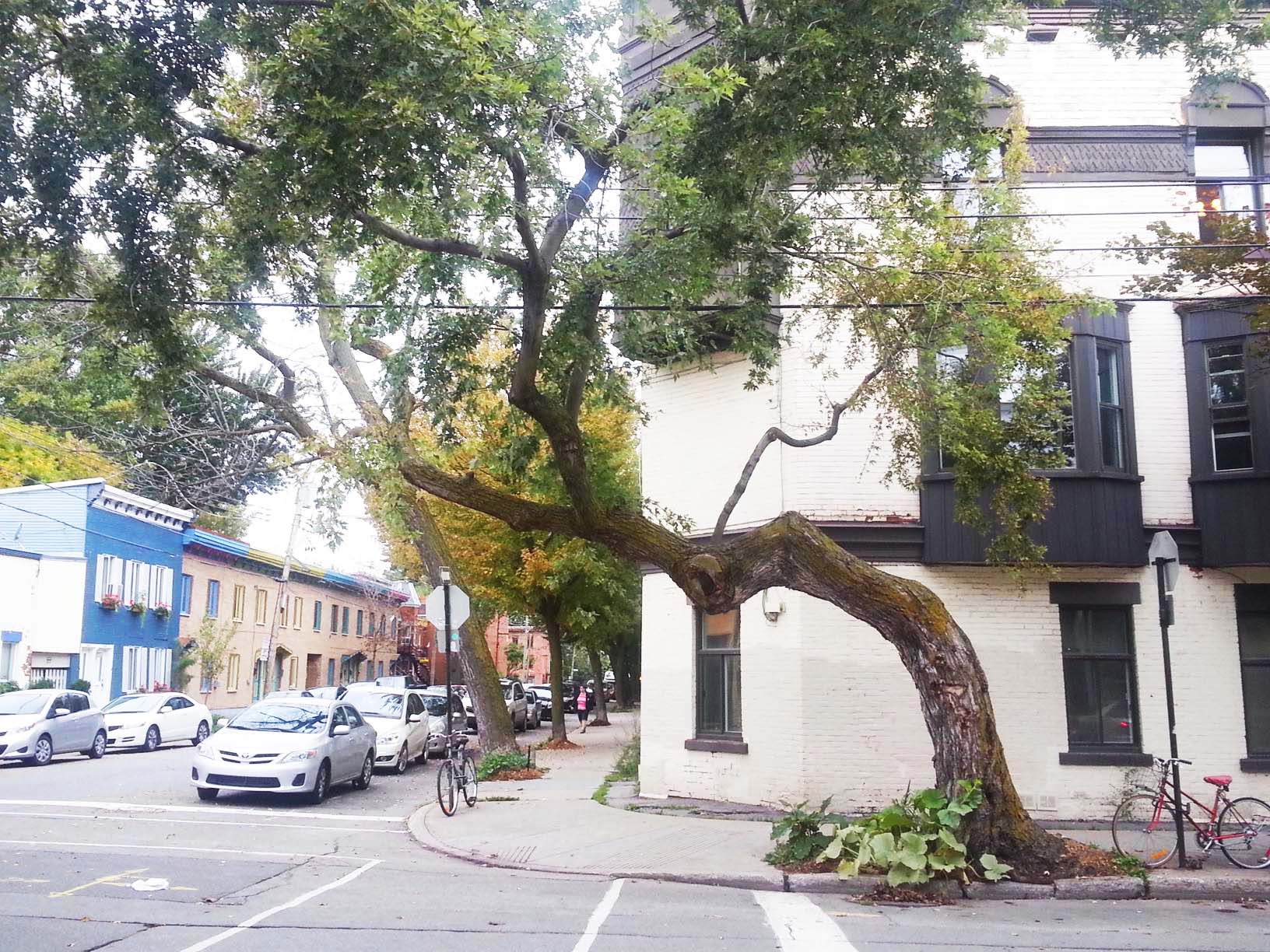 Annexe 2013-09-13 16.55.08-1632x1224.jpg