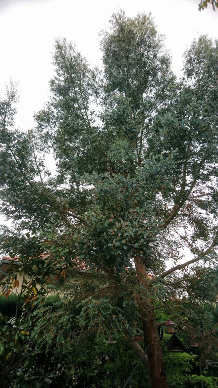 Annexe DSC_5466~4.JPG