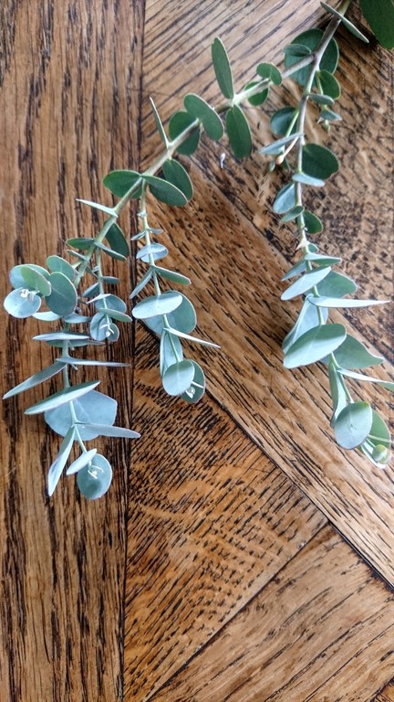 Annexe DSC_5471~2.JPG