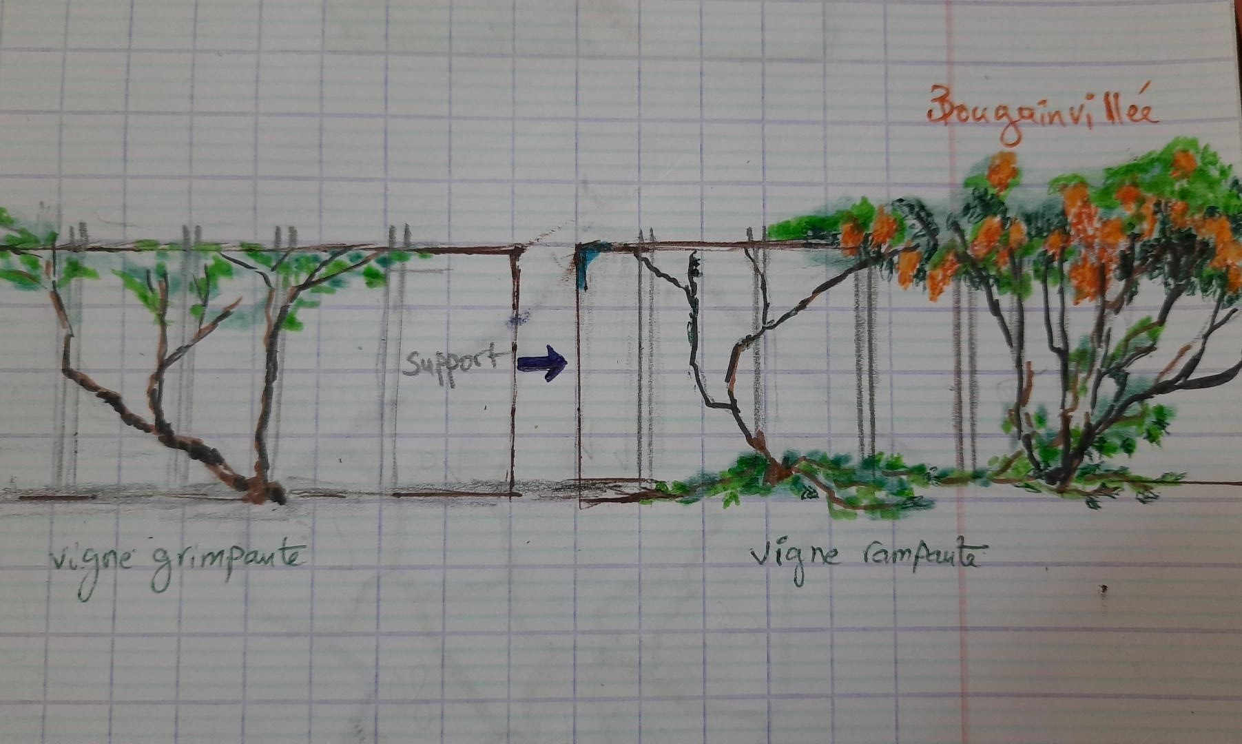 Annexe activité mooc.jpg