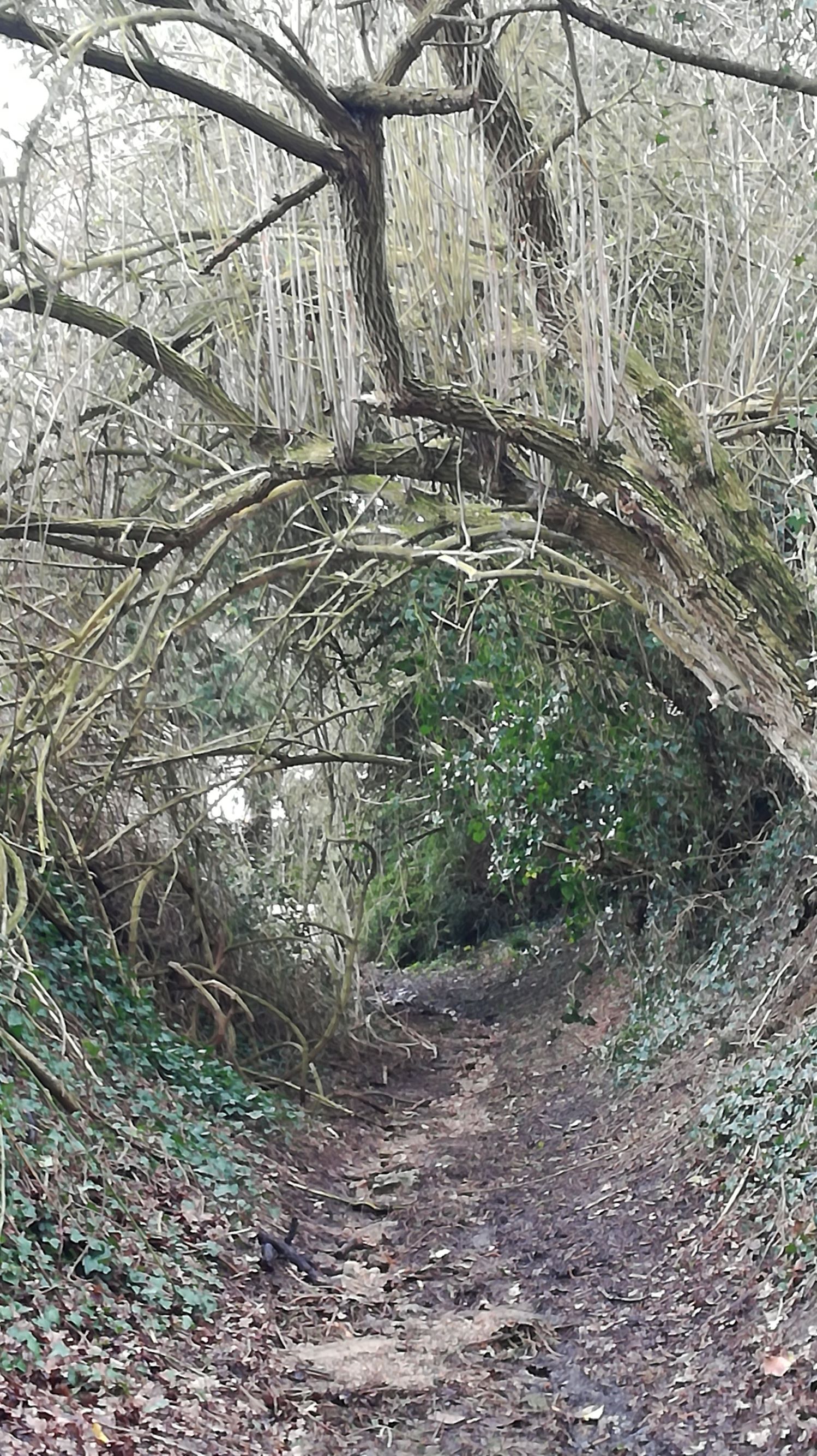 Annexe IMG_20180308_144953-1.jpg