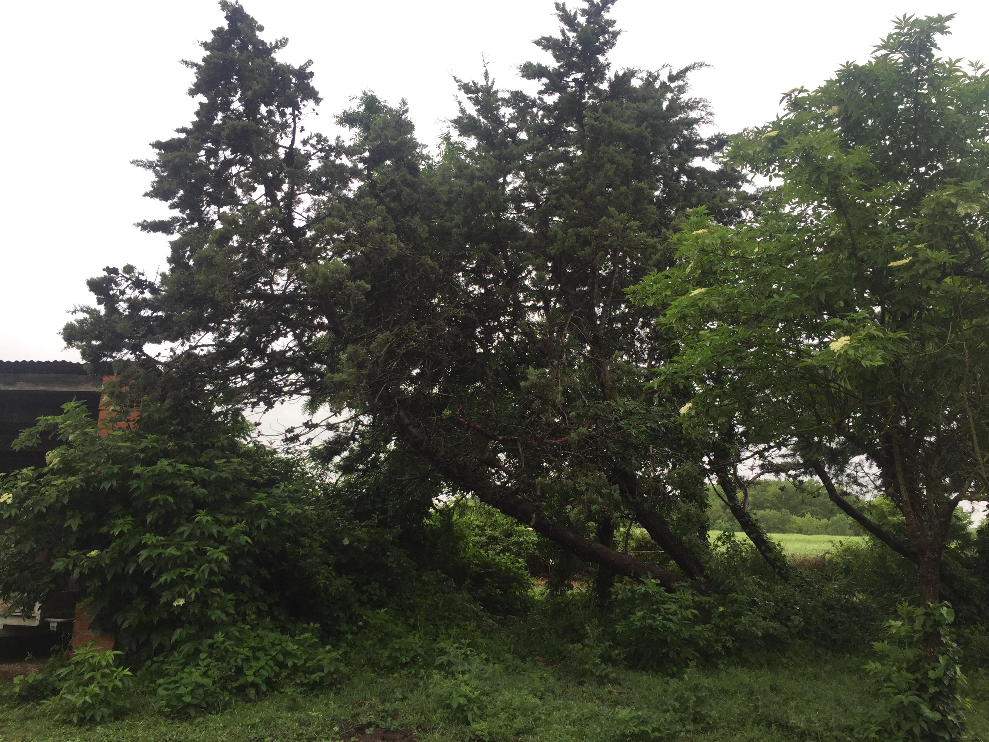 Annexe 94377508_226959148412784_6353902092884639744_n.jpg