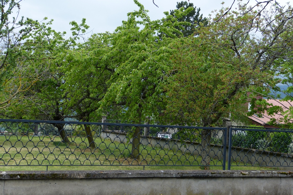 Annexe P1260951 (1024x684).jpg