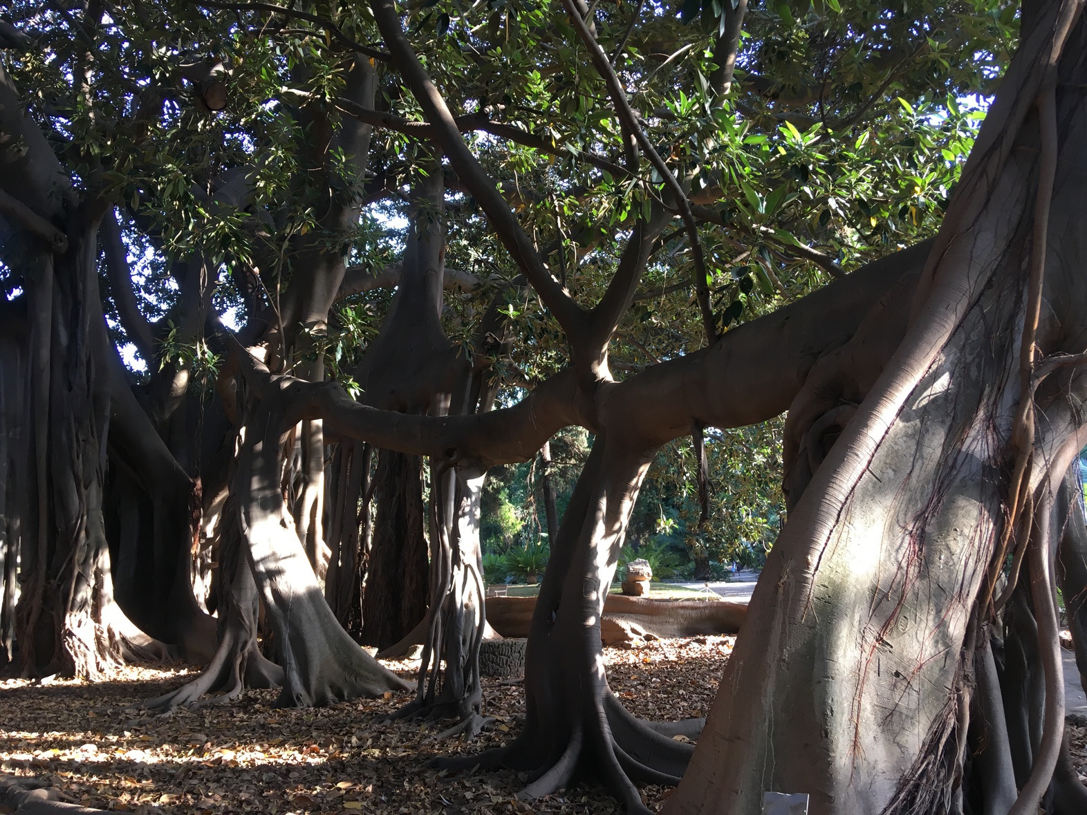 Annexe 2019-08-07-18.40.46.jpg