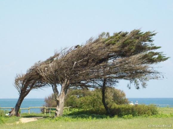 Annexe 6C701530-2AB7-4420-A980-7D356C41F2EF.jpeg