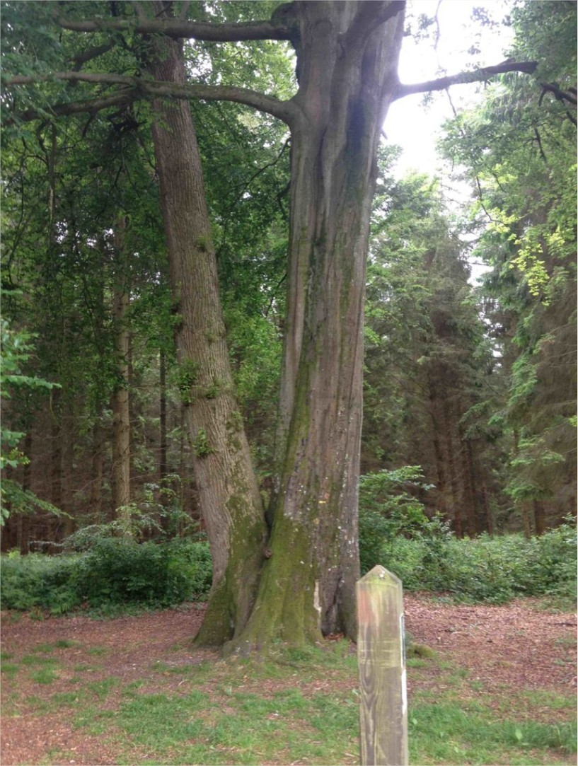 Annexe frères-ennmis.jpg