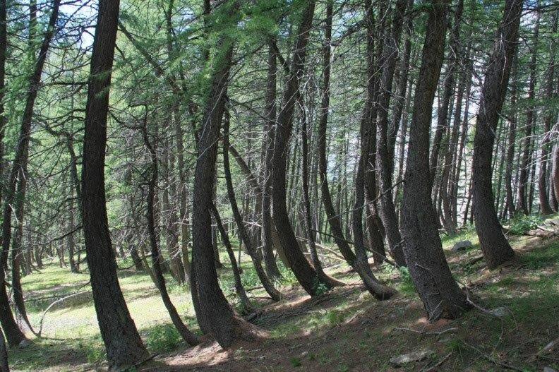 Annexe 190_Val_Allos-me.jpg