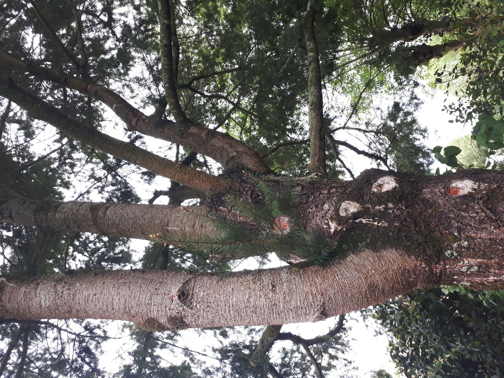 Annexe 20200422_185039 3.jpg