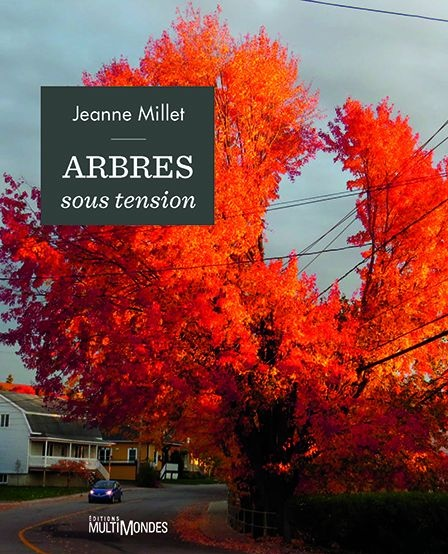 Annexe arbres sous tension.PNG