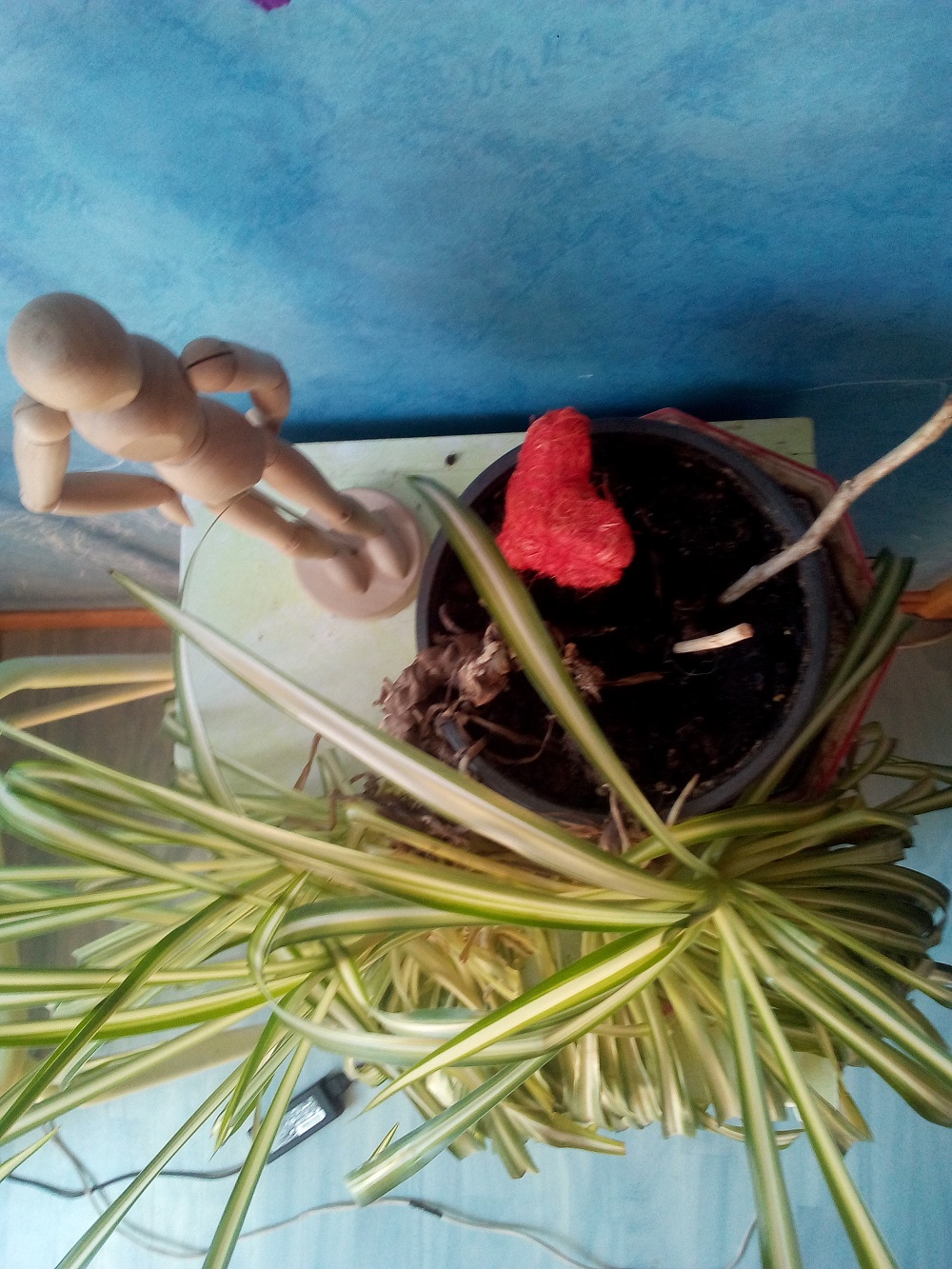 Annexe IMG_20200423_134719.jpg