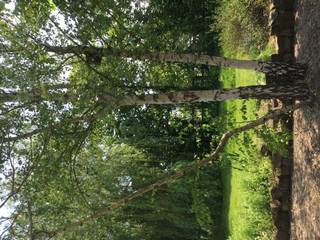 Annexe BCF1EE08-0D9F-4A5C-A467-06F7AAFBF482.jpeg