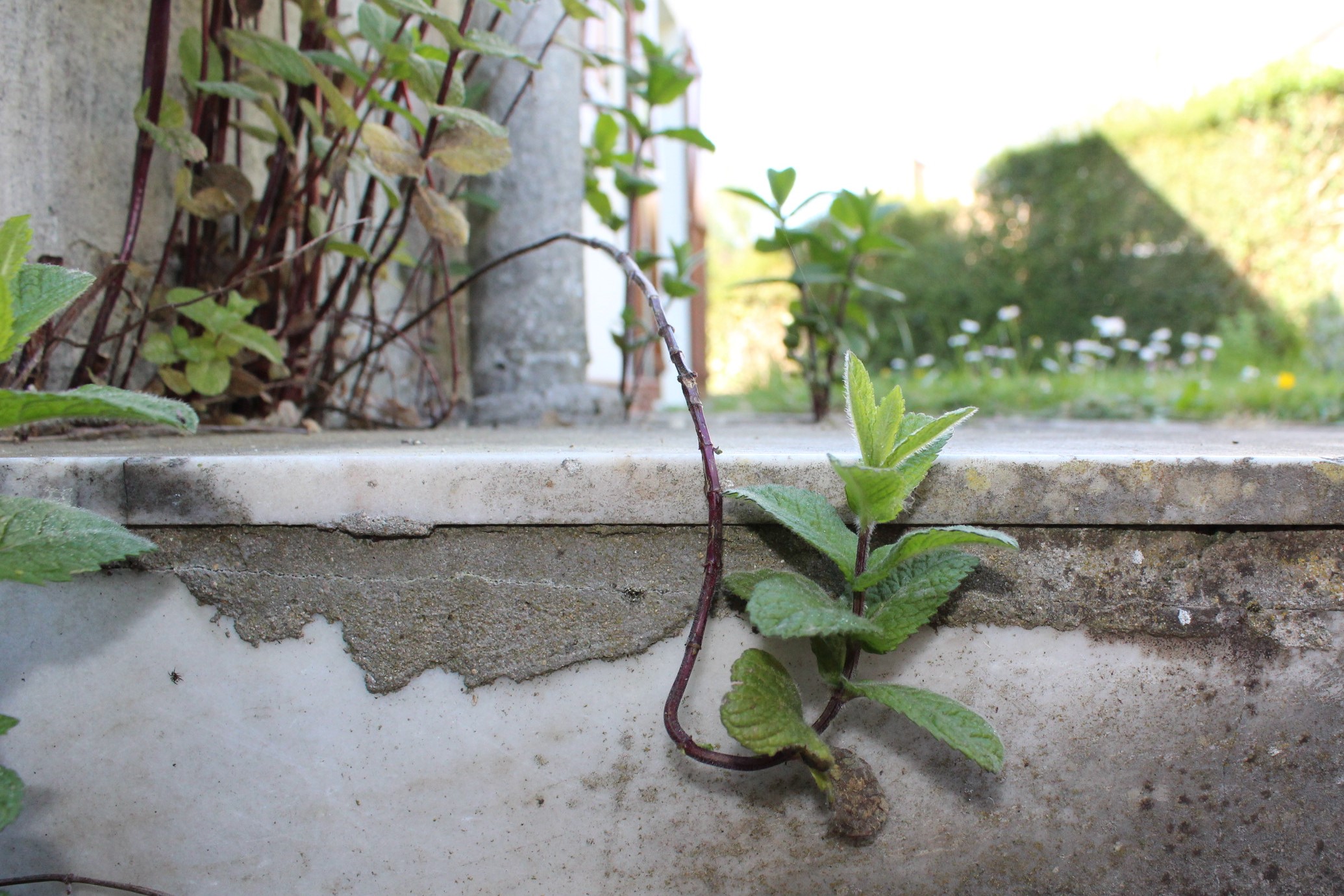 Annexe IMG_27822.jpg