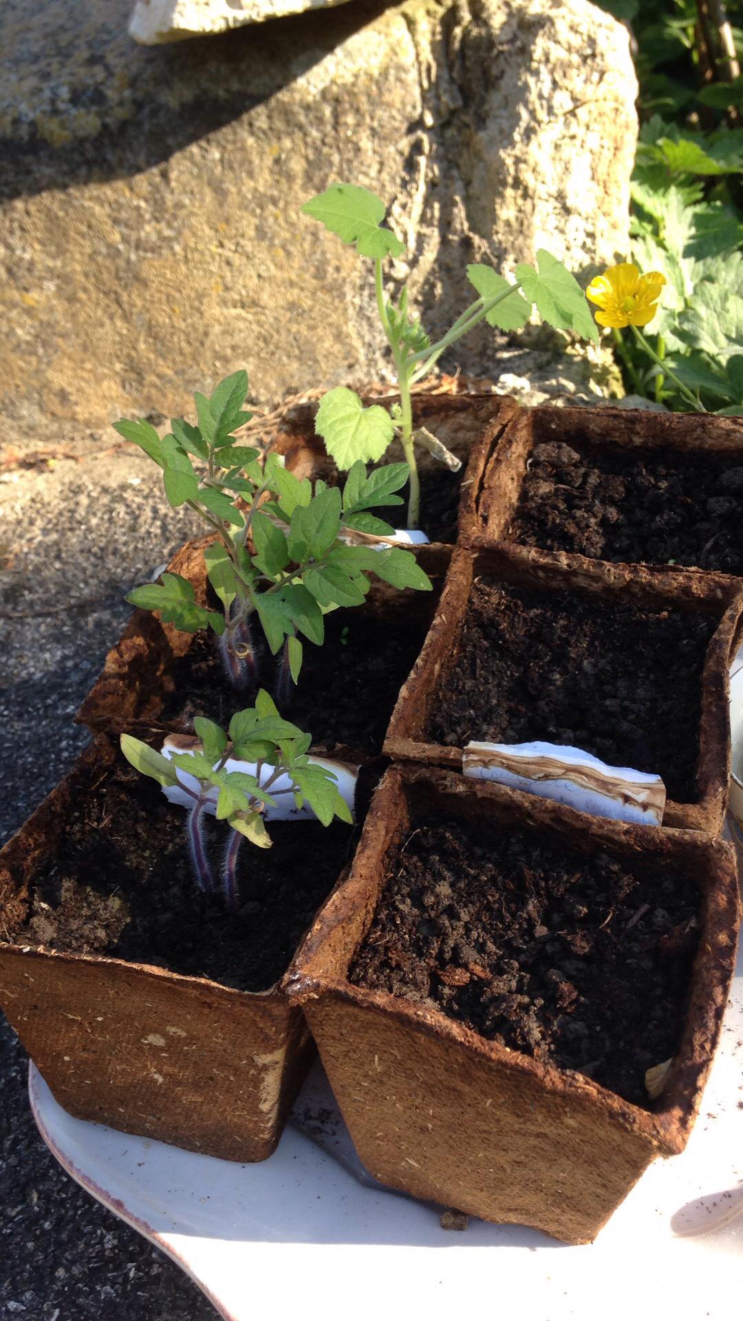 Annexe 94128066_366221084293130_3741857232912908288_n.jpg