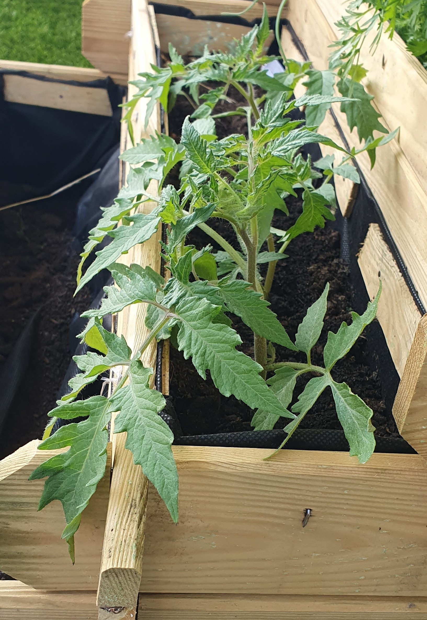 Annexe 20200423_183755.jpg