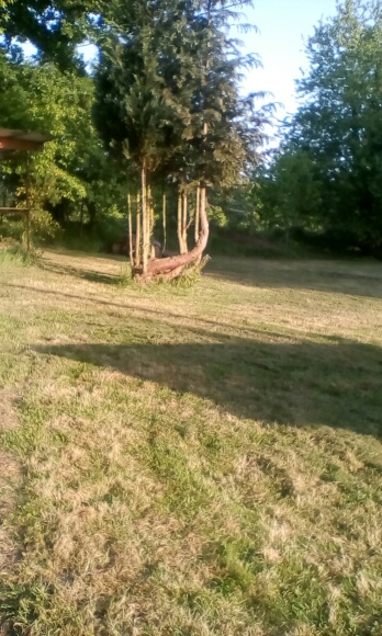 Annexe IMG_20200422_193234.jpg