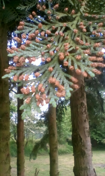 Annexe IMG_20200424_123158.jpg