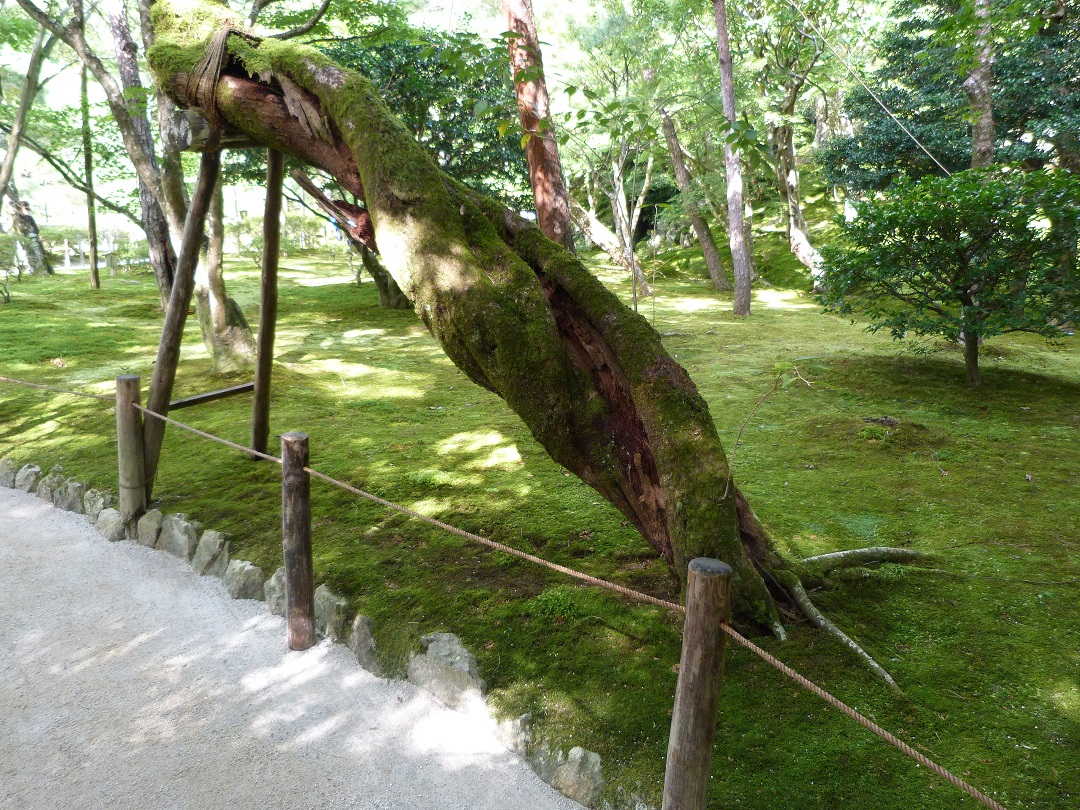 Annexe P1070035b.jpg