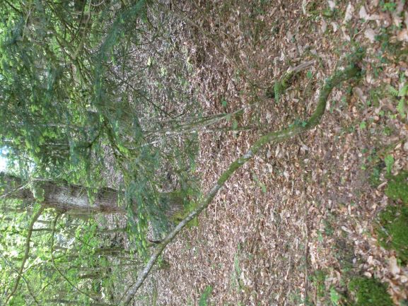 Annexe Activité photo 2 a.JPG