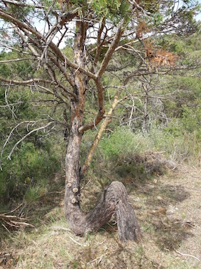 Annexe 20180423_145225.jpg