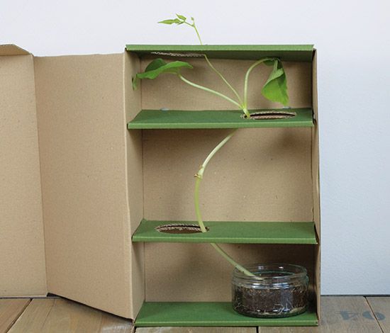 Annexe Des haricots en zigzag.jpg