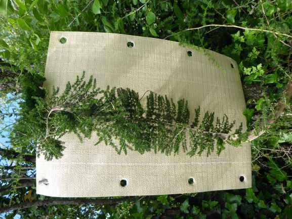 Annexe P1000942copie.JPG