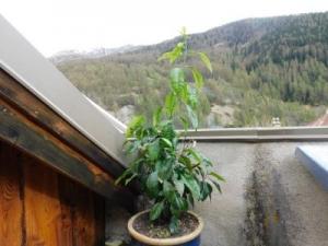 Annexe DSCN0400-1.JPG