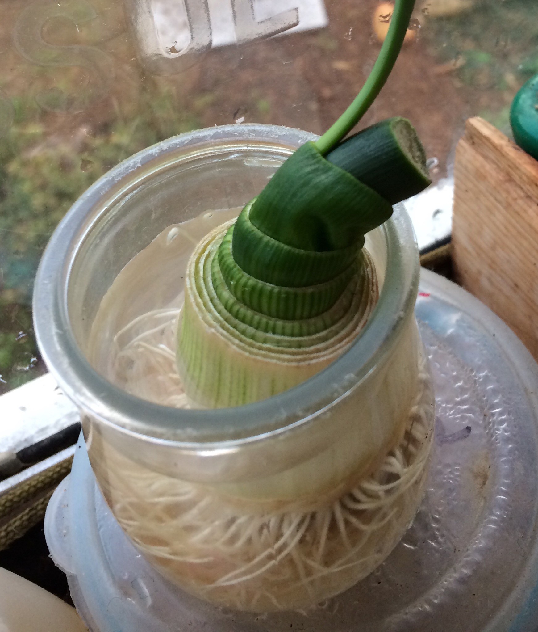 Annexe D9D422F5-7FF7-40DE-86F8-A085F841D039.jpeg