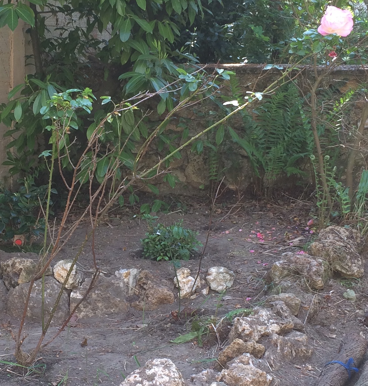 Annexe 2D7F79A9-EA0F-4CFB-AF6A-14EF06843B18.jpeg