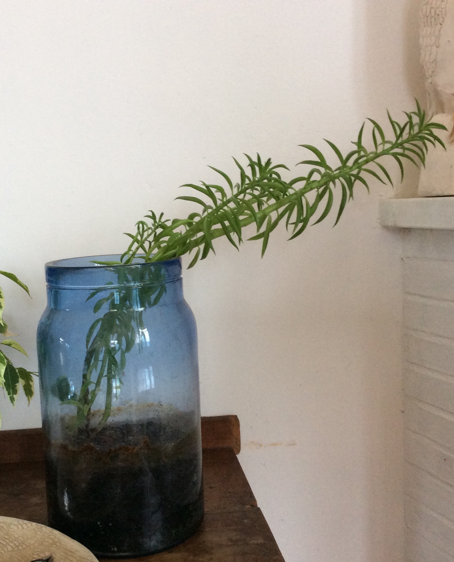 Annexe 4EB02963-9C3D-405A-B3AE-01C1A7270652.jpeg