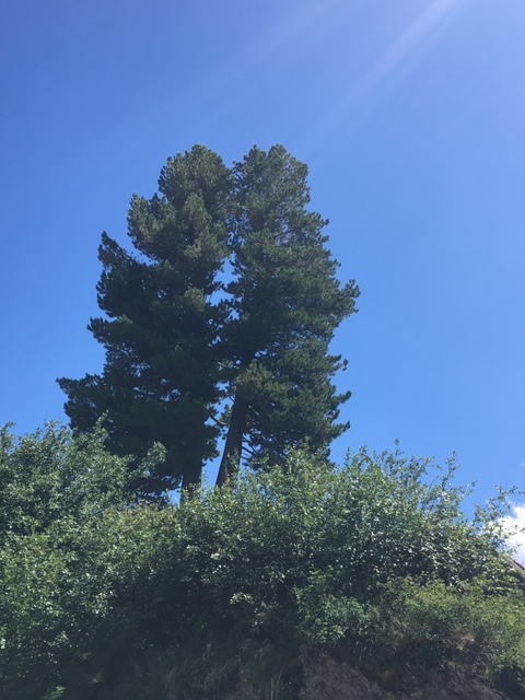 Annexe IMG_3390 (2).JPG