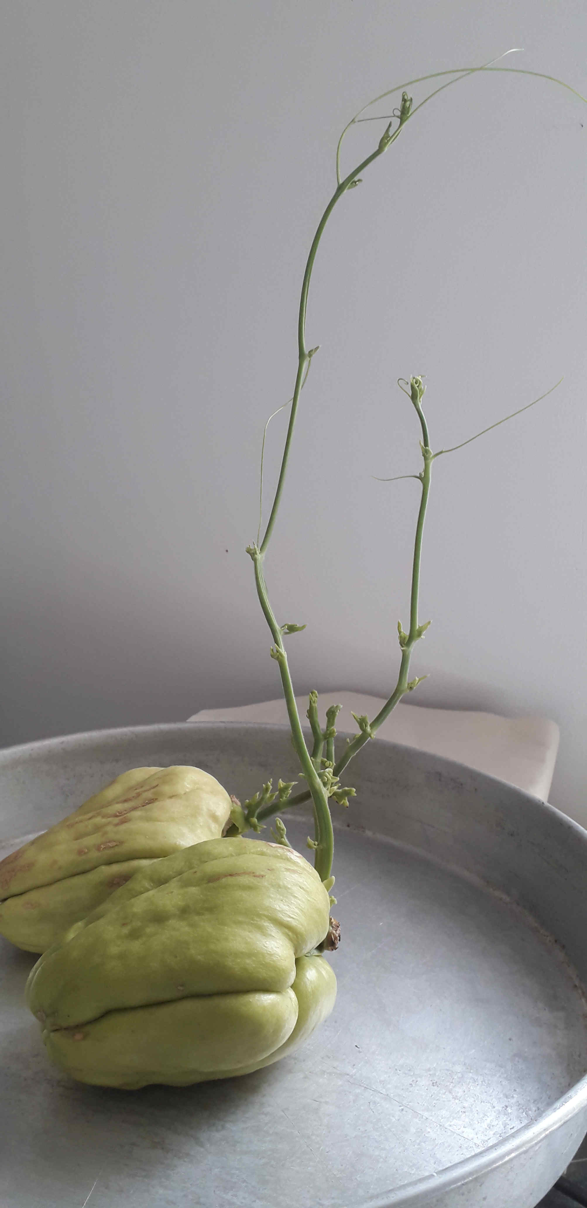 Annexe Chayottes.jpg