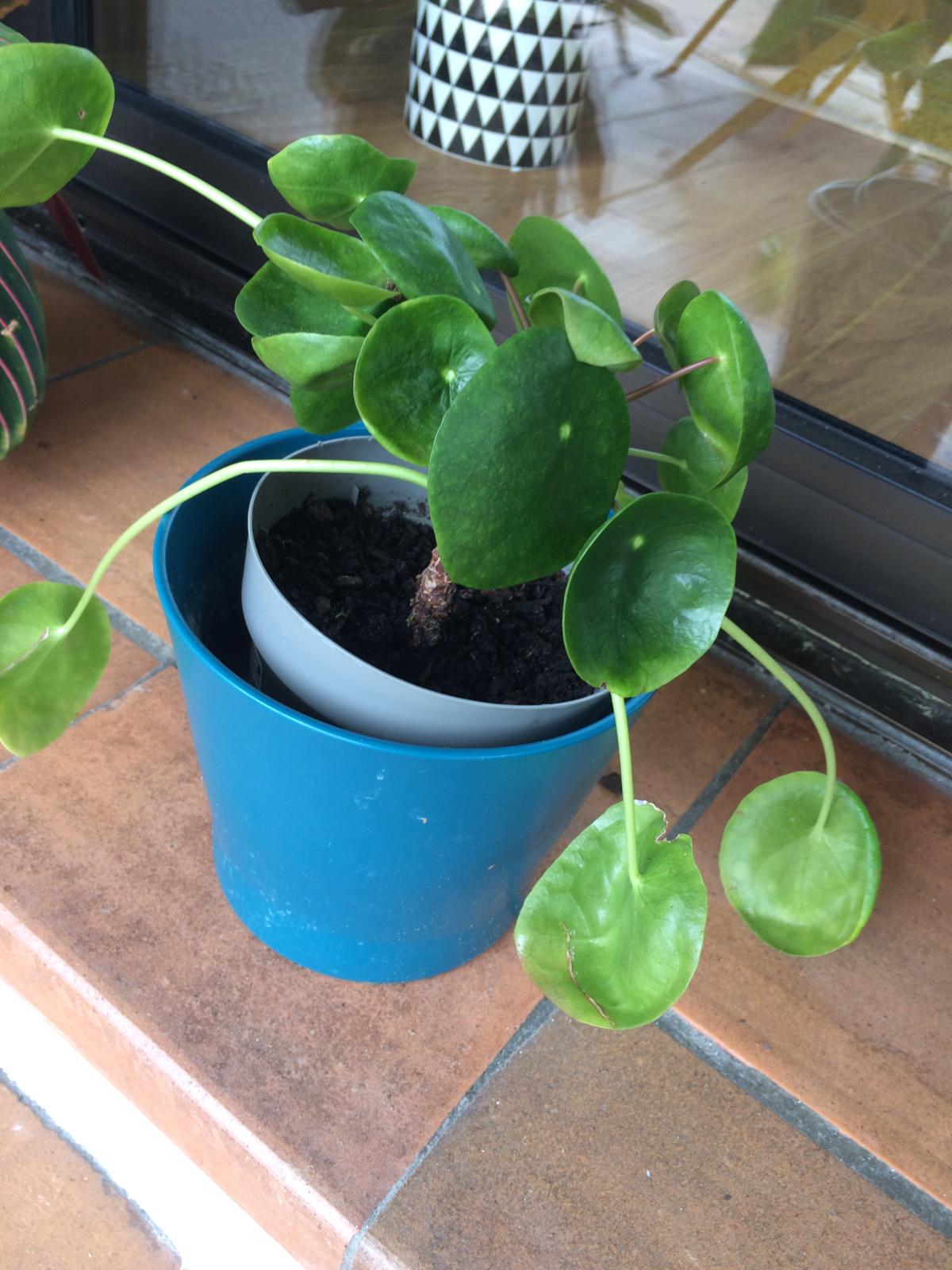 Annexe d29617dc-f6e6-446f-a18a-50ab50b24b7e.jpg