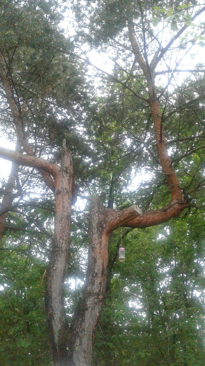 Annexe 20200427_184048_resized.jpg