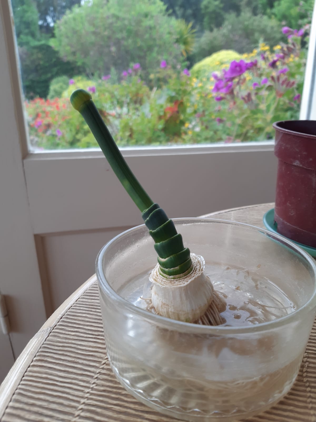 Annexe TOTOLEPOIREAU.jpeg