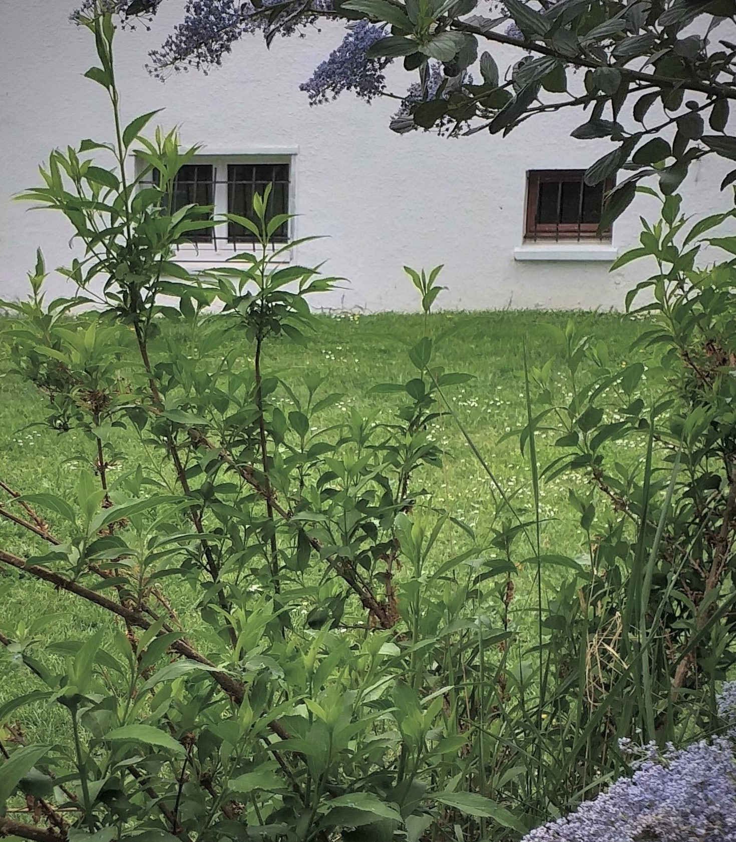 Annexe 20200428_122814.jpg