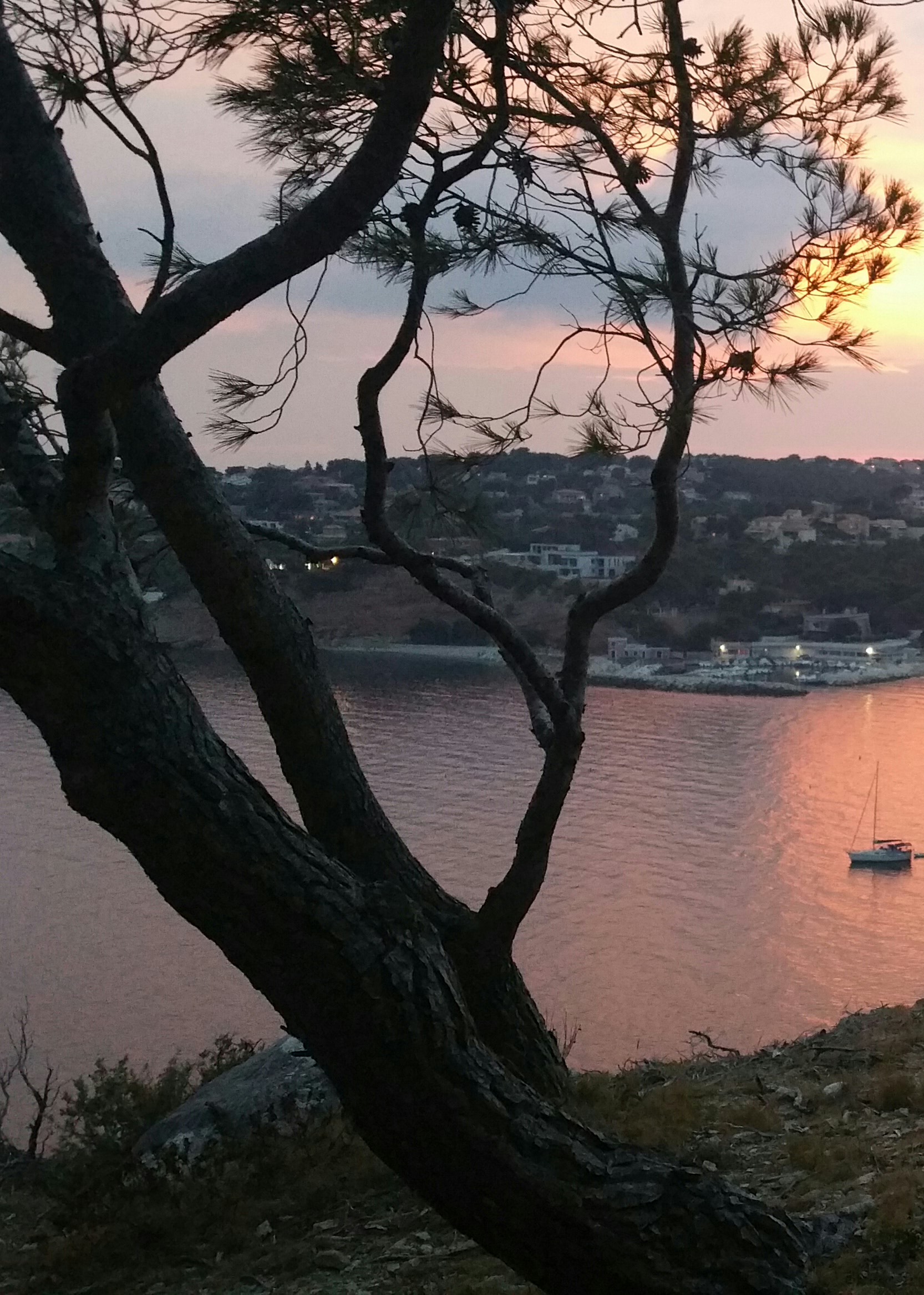 Annexe 2020-04-28 18.07.02.jpg