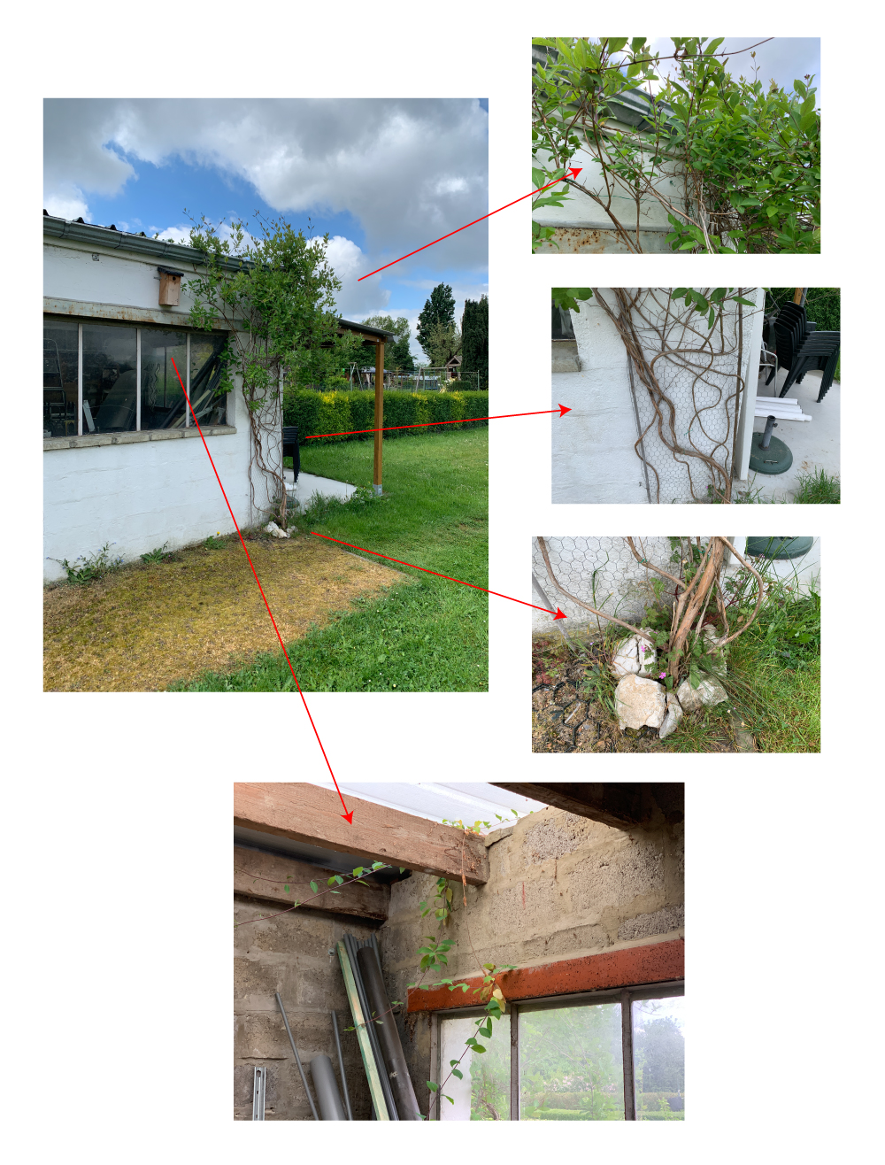 Annexe monchefrefeuille.jpg