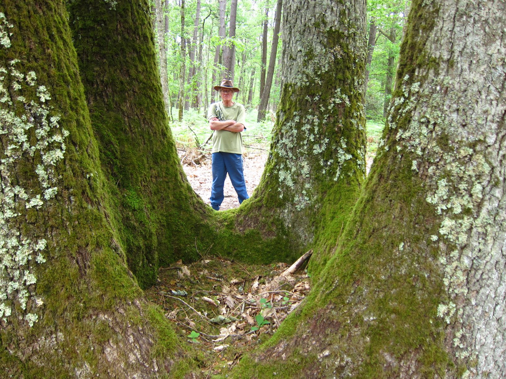 Annexe IMG_0882 .JPG